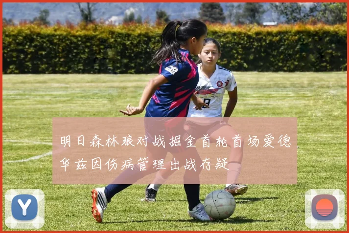 明日森林狼对战掘金首轮首场爱德华兹因伤病管理出战存疑